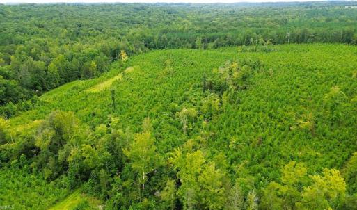 Photo #7 of 1396-1420 Fitch, Yanceyville, NC 72.0 acres