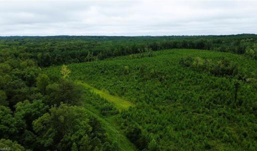 Photo #3 of 1396-1420 Fitch, Yanceyville, NC 72.0 acres