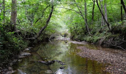 Photo #36 of 1396-1420 Fitch, Yanceyville, NC 72.0 acres