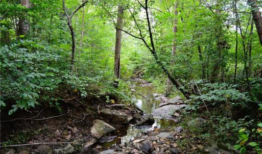 Photo #1 of 1396-1420 Fitch, Yanceyville, NC 72.0 acres
