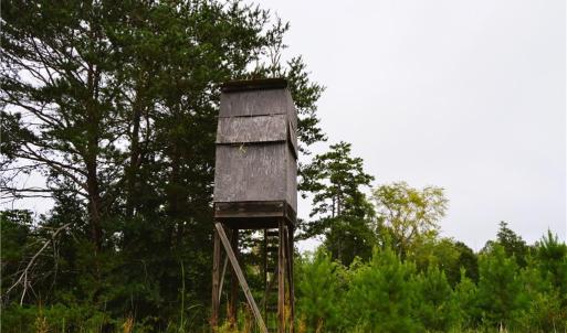 Photo #28 of 1396-1420 Fitch, Yanceyville, NC 72.0 acres