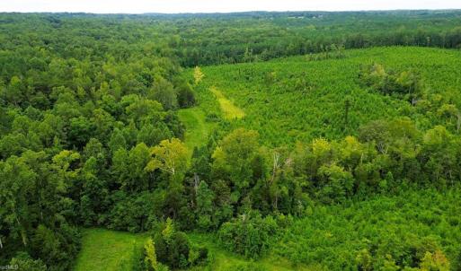Photo #5 of 1396-1420 Fitch, Yanceyville, NC 72.0 acres