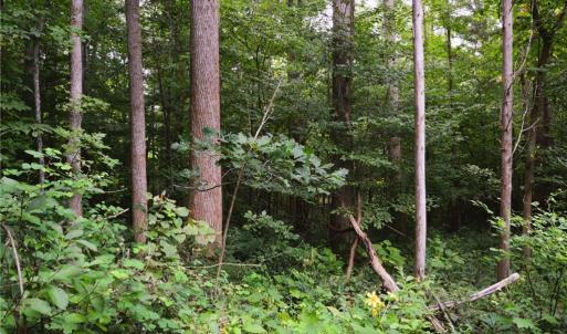 Photo #34 of 1396-1420 Fitch, Yanceyville, NC 72.0 acres