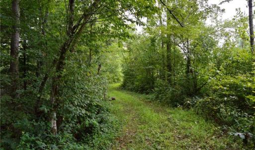 Photo #38 of 1396-1420 Fitch, Yanceyville, NC 72.0 acres