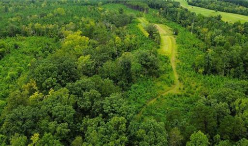 Photo #10 of 1396-1420 Fitch, Yanceyville, NC 72.0 acres