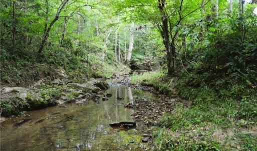 Photo #41 of 1396-1420 Fitch, Yanceyville, NC 72.0 acres