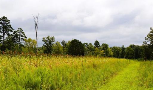 Photo #45 of 1396-1420 Fitch, Yanceyville, NC 72.0 acres