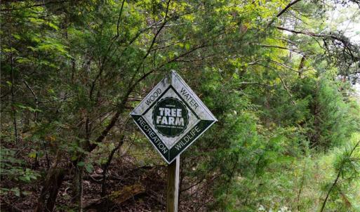 Photo #18 of 1396-1420 Fitch, Yanceyville, NC 72.0 acres