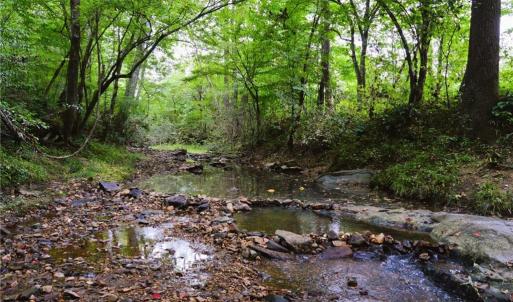 Photo #37 of 1396-1420 Fitch, Yanceyville, NC 72.0 acres