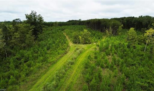 Photo #15 of 1396-1420 Fitch, Yanceyville, NC 72.0 acres