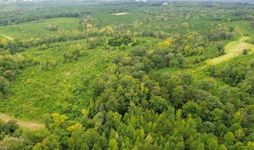 Photo #11 of 1396-1420 Fitch, Yanceyville, NC 72.0 acres