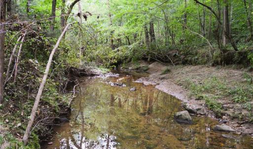 Photo #40 of 1396-1420 Fitch, Yanceyville, NC 72.0 acres