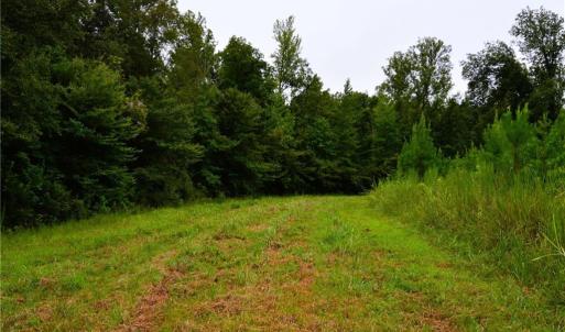Photo #35 of 1396-1420 Fitch, Yanceyville, NC 72.0 acres