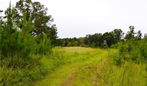 Photo #31 of 1396-1420 Fitch, Yanceyville, NC 72.0 acres