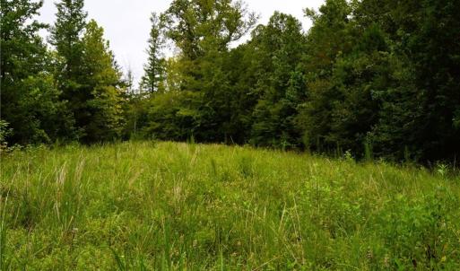 Photo #39 of 1396-1420 Fitch, Yanceyville, NC 72.0 acres