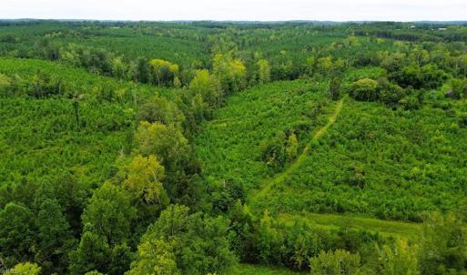 Photo #4 of 1396-1420 Fitch, Yanceyville, NC 72.0 acres