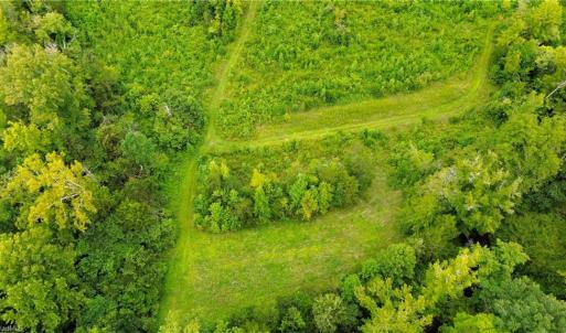 Photo #8 of 1396-1420 Fitch, Yanceyville, NC 72.0 acres