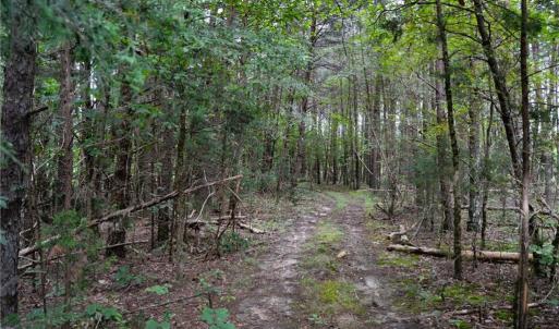 Photo #21 of 1396-1420 Fitch, Yanceyville, NC 72.0 acres