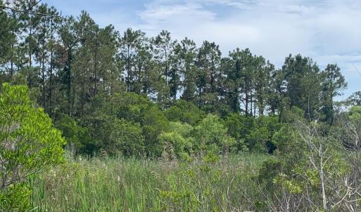 Photo #4 of 0 Hwy 64/264 Shipyard Road, Manns Harbor, NC 5.7 acres