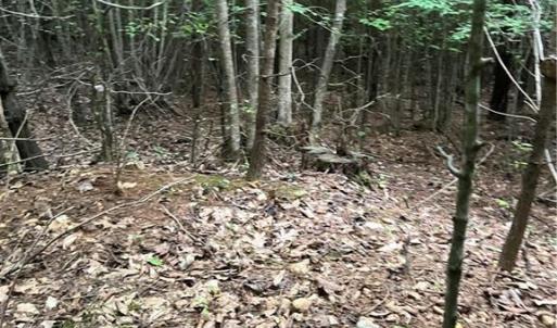 Photo #5 of Stokes School, Walnut Cove, NC 27.9 acres