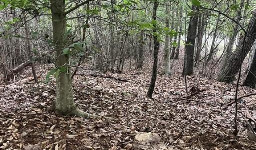 Photo #4 of Stokes School, Walnut Cove, NC 27.9 acres