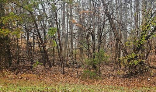 Photo #1 of 2145 Jefferson Oaks, Rural Hall, NC 0.9 acres