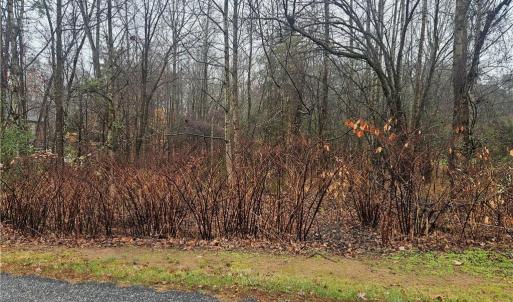 Photo #1 of 2040 Jefferson Oaks, Rural Hall, NC 1.0 acres