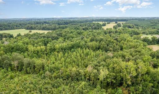 Photo #7 of 6619 Smithwood, Liberty, NC 20.0 acres