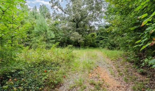 Photo #4 of 6619 Smithwood, Liberty, NC 20.0 acres