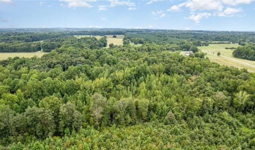 Photo #8 of 6619 Smithwood, Liberty, NC 20.0 acres