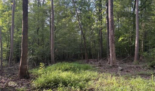 Photo #1 of 7149 Nature, Liberty, NC 10.3 acres