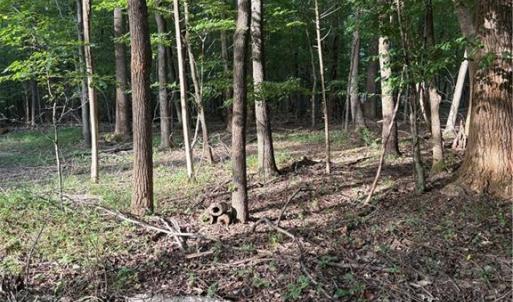 Photo #2 of 7149 Nature, Liberty, NC 10.3 acres