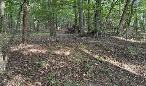 Photo #3 of 7149 Nature, Liberty, NC 10.3 acres