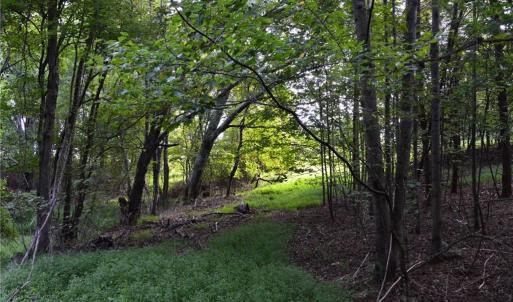 Photo #1 of 02 Hanging Rock Forest, Danbury, NC 10.8 acres