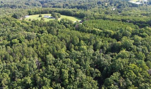 Photo #20 of 02 Hanging Rock Forest, Danbury, NC 10.8 acres