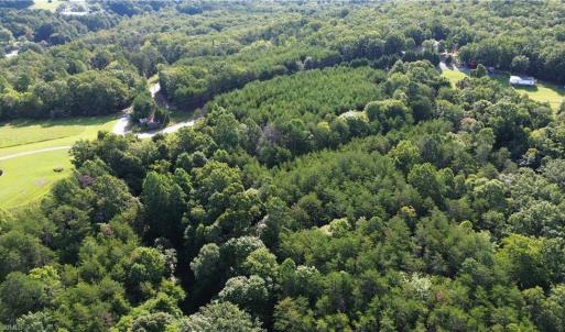 Photo #21 of 02 Hanging Rock Forest, Danbury, NC 10.8 acres