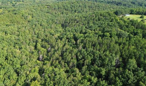 Photo #19 of 02 Hanging Rock Forest, Danbury, NC 10.8 acres