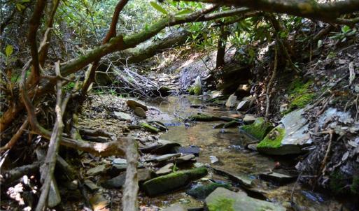 Photo #1 of 01 NC Highway 89, Danbury, NC 21.0 acres