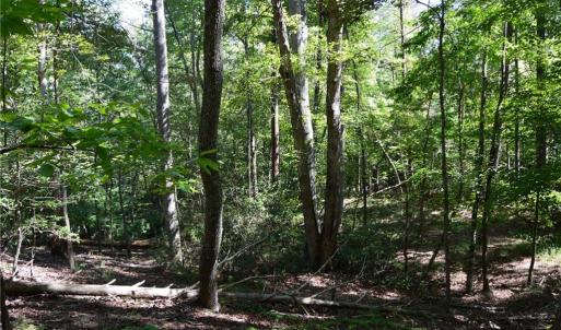 Photo #10 of 01 NC Highway 89, Danbury, NC 21.0 acres