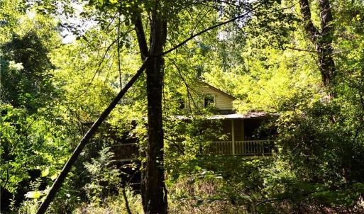 Photo #4 of 01 NC Highway 89, Danbury, NC 21.0 acres