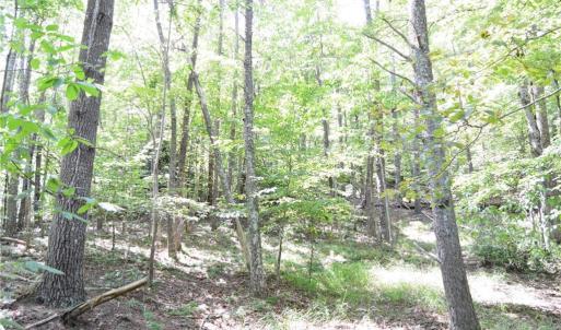 Photo #8 of 01 NC Highway 89, Danbury, NC 21.0 acres