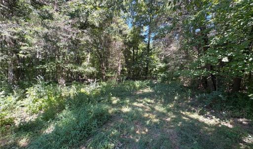 Photo #13 of 1193 Pleasant Ridge, Colfax, NC 3.8 acres