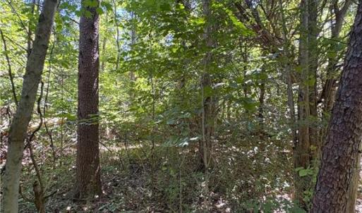 Photo #16 of 1193 Pleasant Ridge, Colfax, NC 3.8 acres