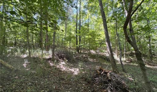 Photo #20 of 1193 Pleasant Ridge, Colfax, NC 3.8 acres