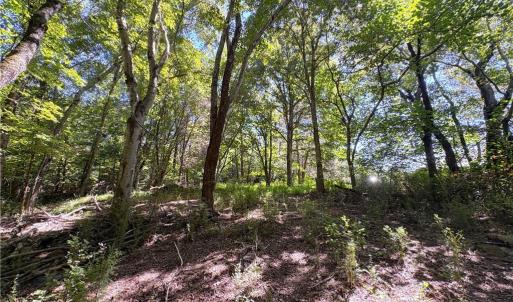 Photo #14 of 1193 Pleasant Ridge, Colfax, NC 3.8 acres