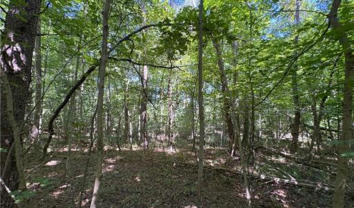 Photo #18 of 1193 Pleasant Ridge, Colfax, NC 3.8 acres