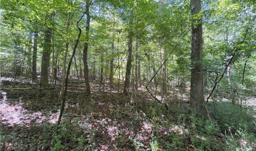 Photo #19 of 1193 Pleasant Ridge, Colfax, NC 3.8 acres