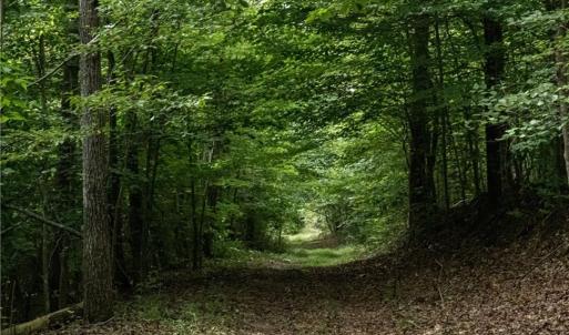 Solid Farm Roads