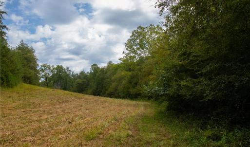 Lower Meadow - creek wraps around the lower side