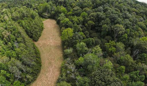 Upper Meadow - Approx. 2 acres